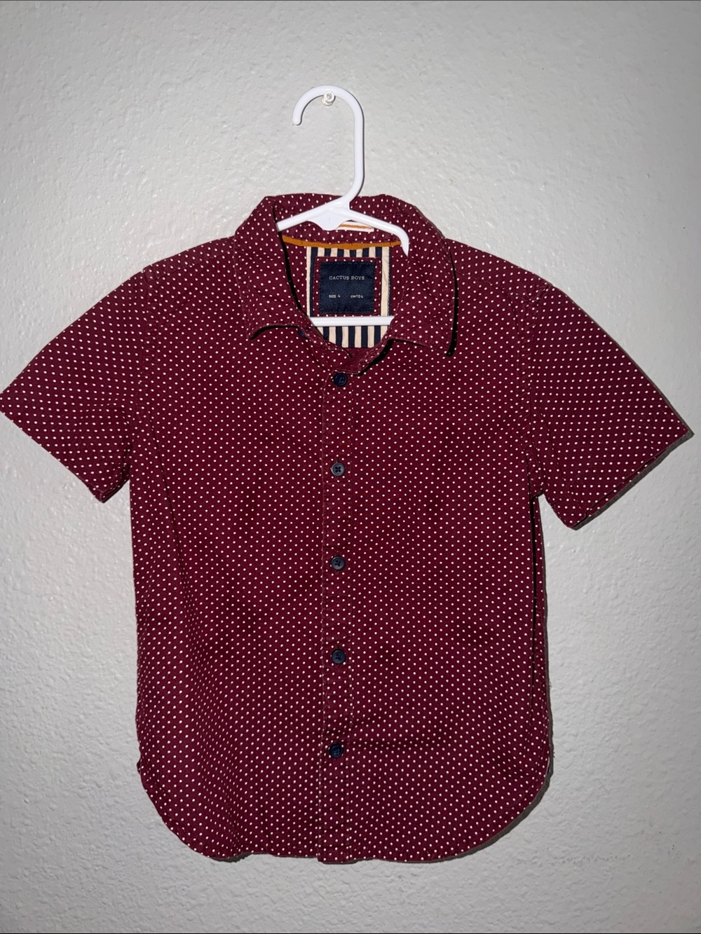 Boy Cactus Maroon Short-Sleeve Dot-Print Button-Down Shirt